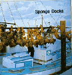 sponge docks