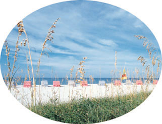 beach view